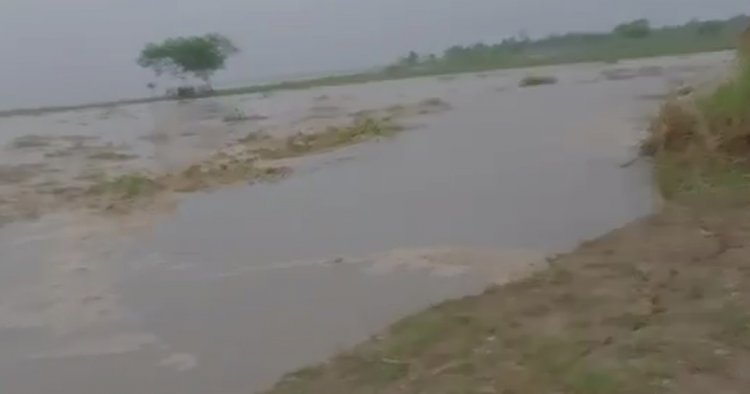 গঙ্গার গ্রাসে গ্রাম, অস্তিত্ব সঙ্কটে মানিকচকবাসী