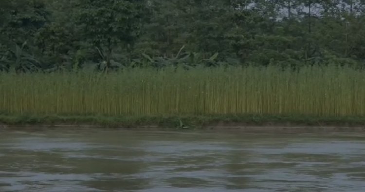 নদী গ্রাসে বিঘার পর বিঘা জমি,  অজানা আতঙ্কে ধূপগুড়িবাসী