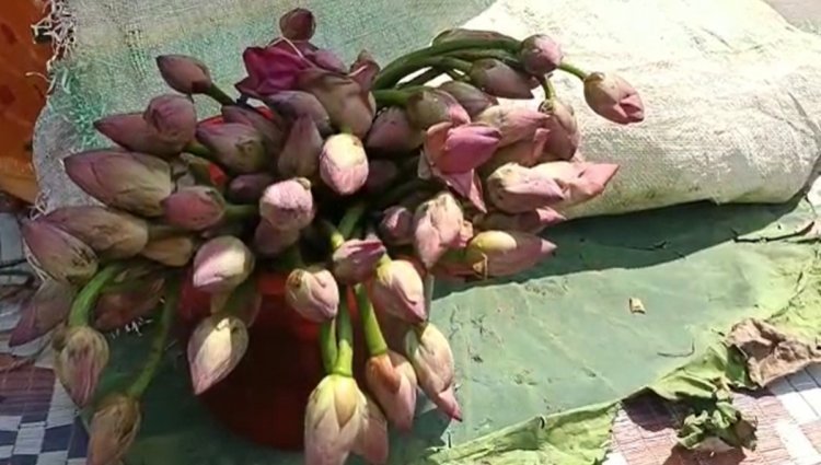 ধনদেবীর আরাধনায় তুঙ্গে পদ্মের চাহিদা