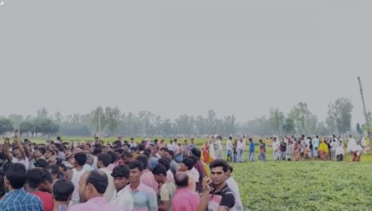 গাছের দিকে তাকাতেই শিউরে উঠলেন পথচারীরা, তারপর যা হল...