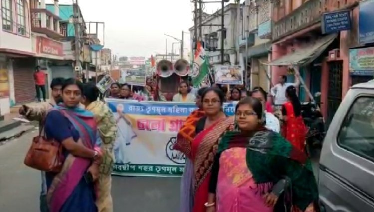 শিয়রে পঞ্চায়েত ভোট, শুরু তৃণমূলের 'চলো গ্রামে যাই' কর্মসূচি