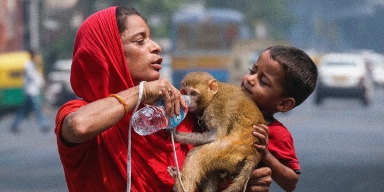 বাড়বে গরম,  ৭ দিন তাপপ্রবাহের সতর্কতা রাজ্যজুড়ে