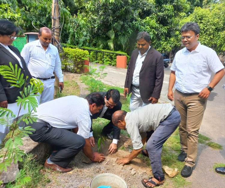 विश्व पर्यावरण दिवस पर जमशेदपुर न्यायालय परिसर में प्रधान जिला जज ने पौधारोपण किया