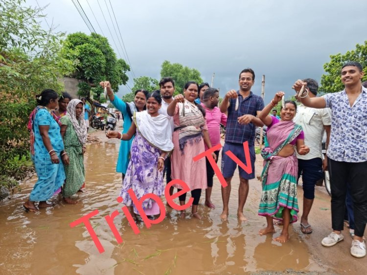 देख रहे हो विनोद : सड़क पर हुआ धान रोपणी , सड़क पर बना डोभा, उसमें  छोड़ी गई मछलियां।  पार्षद , पंचायत समिति सदस्य , उपमुखिया विरोध जताने सड़क पर उतरे।