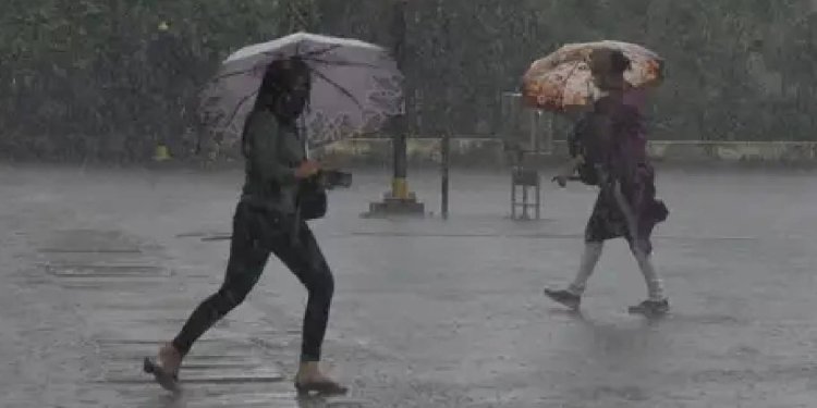 Rain News: উত্তর বঙ্গোপসাগরে ঘনাচ্ছে গভীর নিম্নচাপ, কলকাতা সহ ১৪ জেলায় ভারী বৃষ্টির পূর্বাভাস