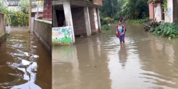 Water Logged News: রাতভর অঝোর বর্ষণে বাড়ির সামনে হাঁটুসমান জল,  পুজোর মুখে ডেঙ্গু আতঙ্ক গোবরডাঙ্গায়