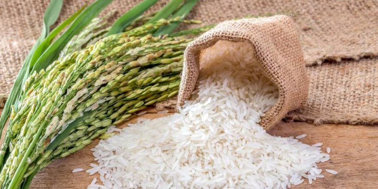 চাল রফতানি বন্ধে বিপাকে চাষি থেকে ব্যবসায়ীরা