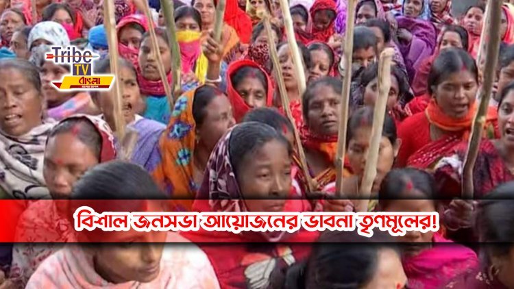 বিশাল জনসভা আয়োজনের ভাবনা তৃণমূলের!
