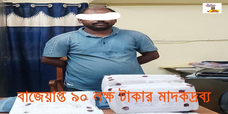 ক্যুরিয়ারে করে ভিনরাজ্যে মাদক পাচারের অভিযোগ, STF-র জালে রেলকর্মী