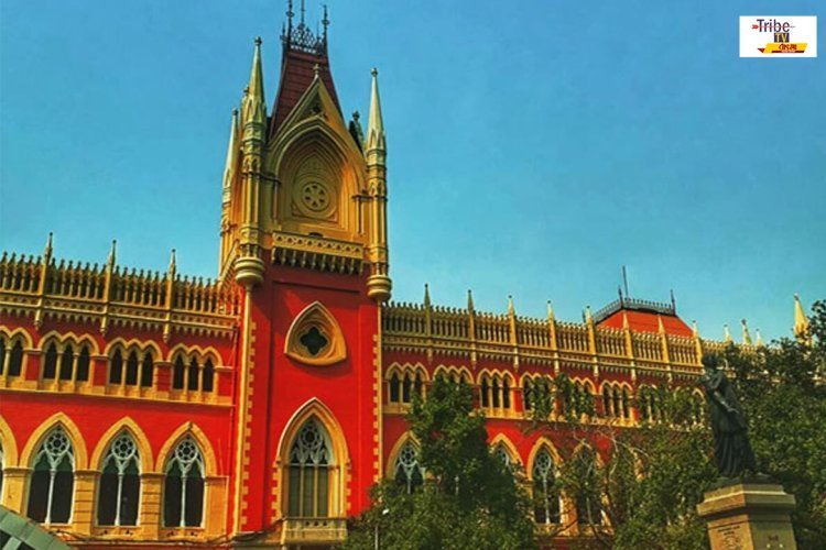 'গুরু পাপে লঘু দণ্ড'! পুলিশকে ভর্ৎসনা হাইকোর্টের