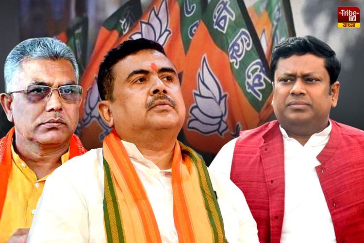 ED-CBI নির্ভরতা দলকে ডুবিয়েছে,  পদ্মে কোন্দল নিয়ে হারের দায় স্বীকার সুকান্ত মজুমদারের