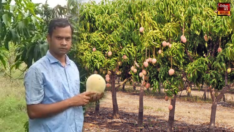 দিল্লির আম মেলায় বাঁকুড়ার জয়জয়কার, ৩২ রকমের আম নিয়ে প্রথম স্থানে নিত্যানন্দ