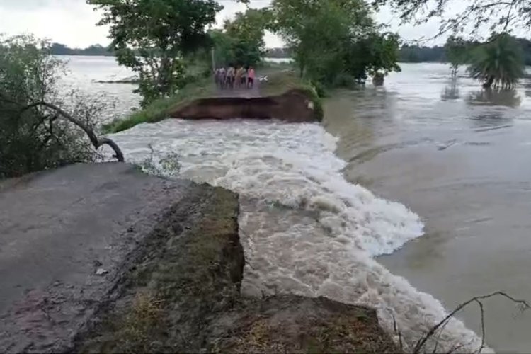 Heavy Rain News: একটানা বৃষ্টিতে অথৈ জলে চাষিরা, DVC-র ছাড়া জলে রাজ্যের বন্যার আশঙ্কা