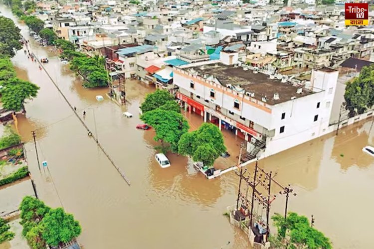 লাগাতার বৃষ্টিতে ভয়াবহ বন্যা পরিস্থিতি গুজরাটে, মৃত অন্তত ৩৫, রেড অ্যালার্ট জারি ১১ জেলায়