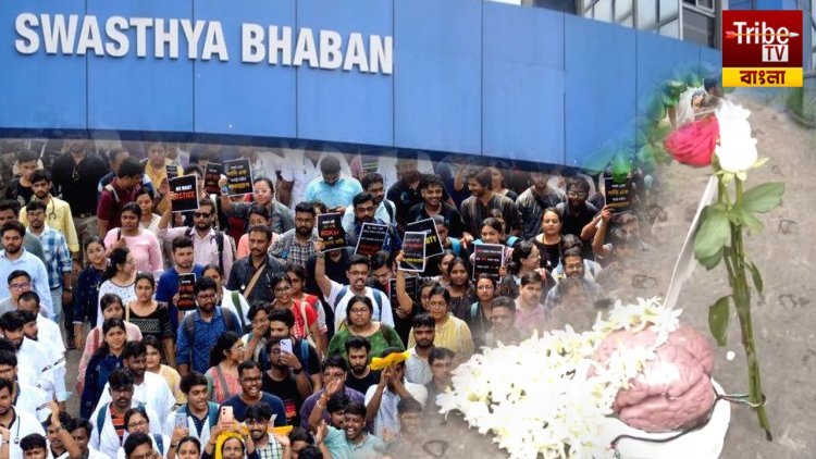 'শিরদাঁড়ার' পর 'প্রতীকী মস্তিষ্ক' হাতে নিয়ে মিছিল, স্বাস্থ্য ভবনের সামনেই অবস্থান জুনিয়র চিকিৎসকদের